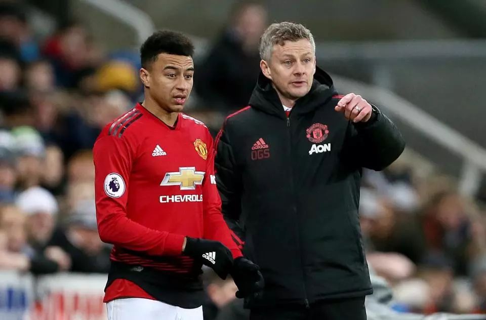 同样展现了 同样展现了